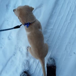 Meet your Posher, Trina